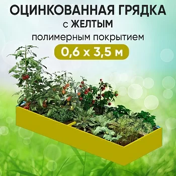 Грядка желтая (0,6 х 3,5)