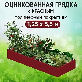 Грядка красная (1,25 х 5,5)