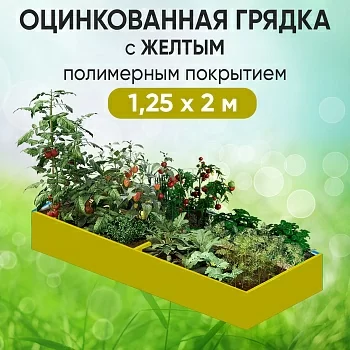 Грядка желтая (1,25 х 2)
