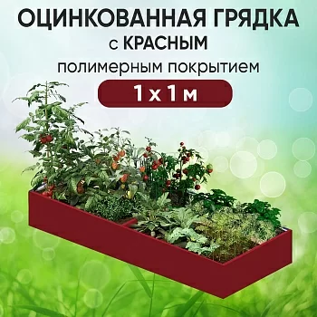 Грядка красная (1 х 1)